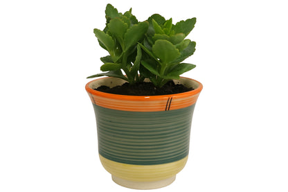 Ceramic Planter with Drain Hole